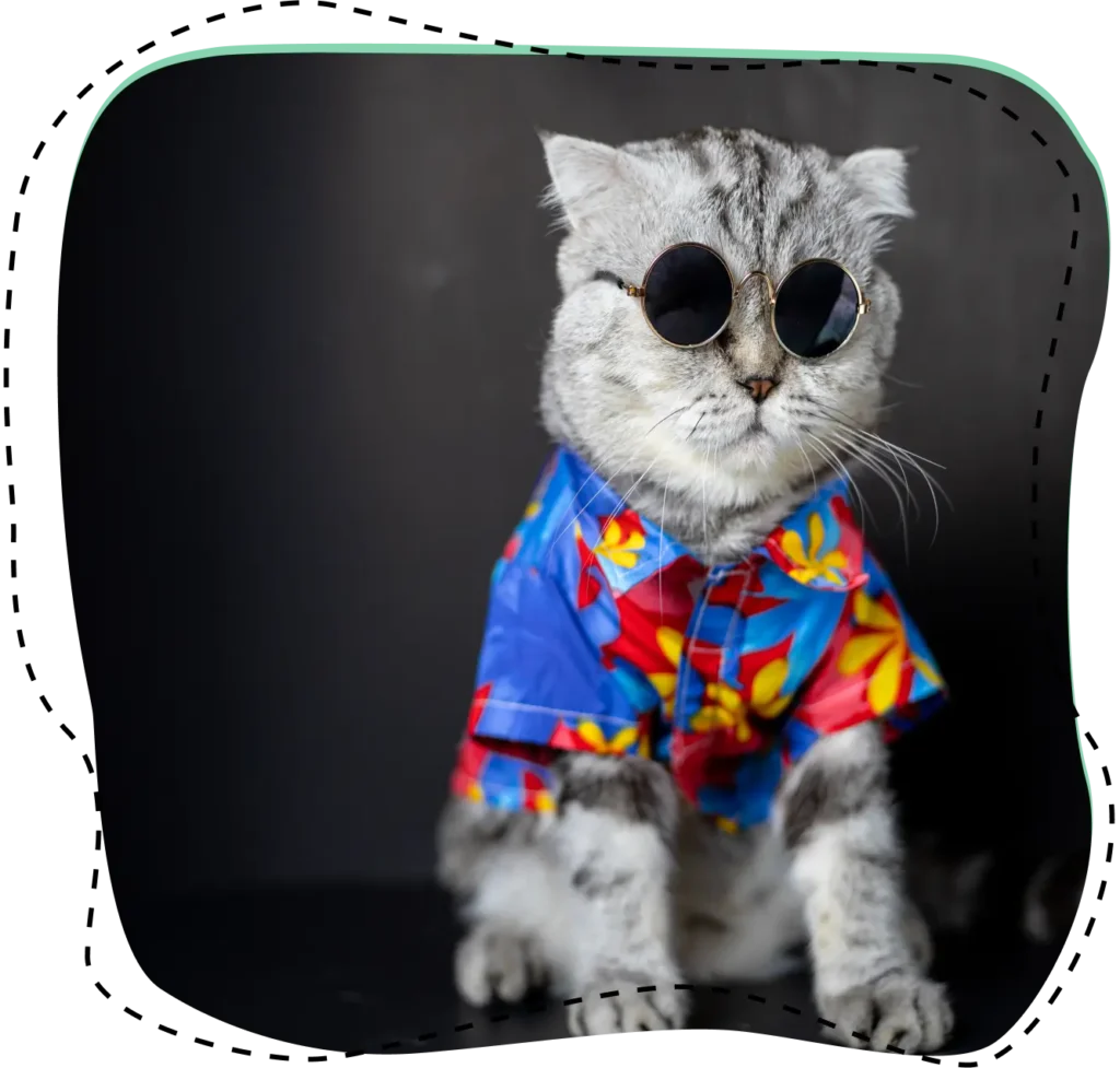 Gato gris con gafas de sol redondas y una camisa hawaiana colorida