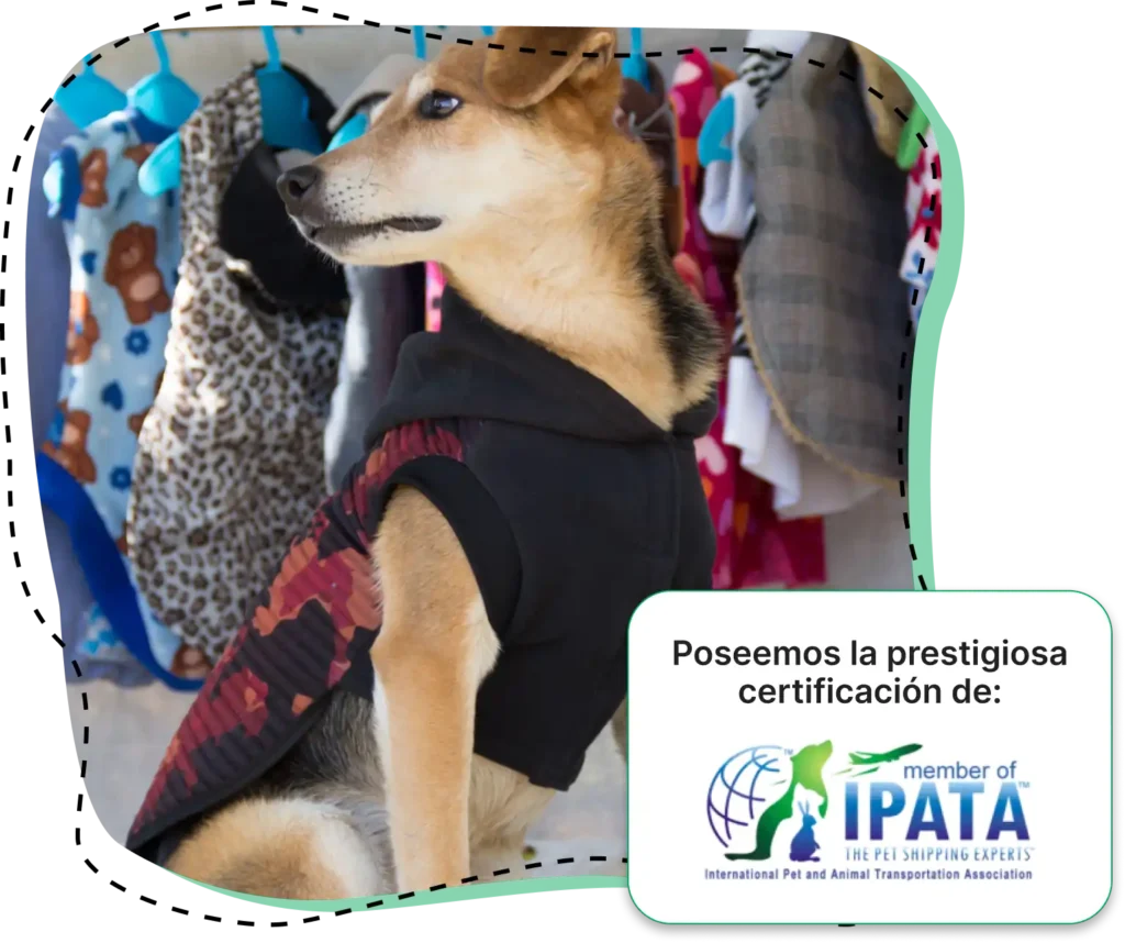 Poseemos la prestigiosa certificación de IPATA, International Pet and Animal Transportation Association