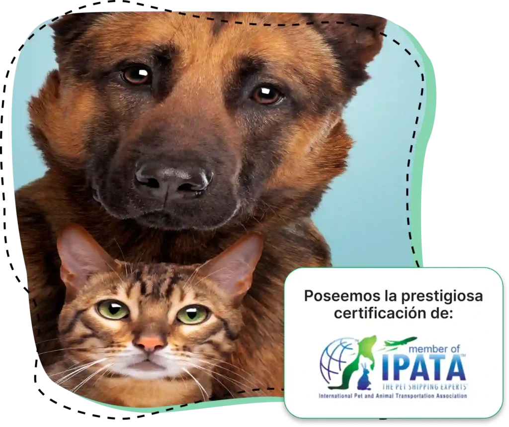 Poseemos la prestigiosa certificación de IPATA, International Pet and Animal Transportation Association