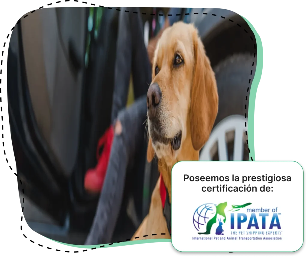 Poseemos la prestigiosa certificación de: member of IPATA, International Pet and Animal Transportation Association