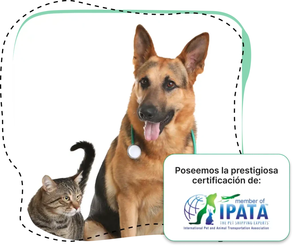 Perro y gato con el texto: Poseemos la prestigiosa certificación de miembro de IPATA, expertos en transporte de mascotas