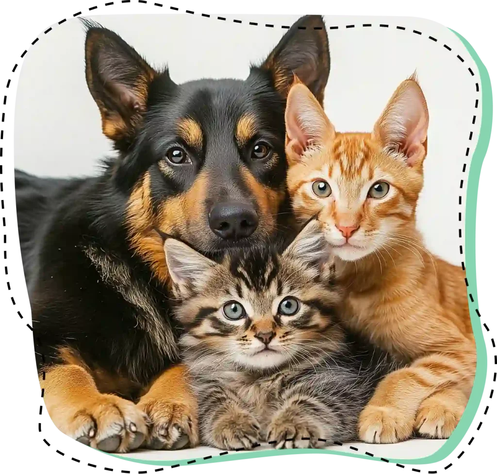 Perro negro y fuego junto a dos gatitos, uno naranja y otro gris atigrado