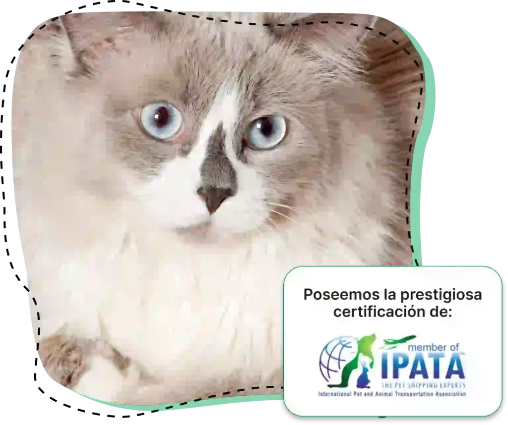Poseemos la prestigiosa certificación de IPATA, International Pet and Animal Transportation Association