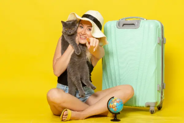 Si quieres llevar a tu gato contigo a un viaje dentro o fuera de Colombia, es esencial conocer las aerolíneas que permiten viajar con gatos y sus requisitos. Cada compañía...